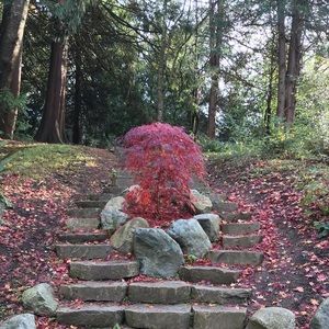 Meet your Posher, Mia